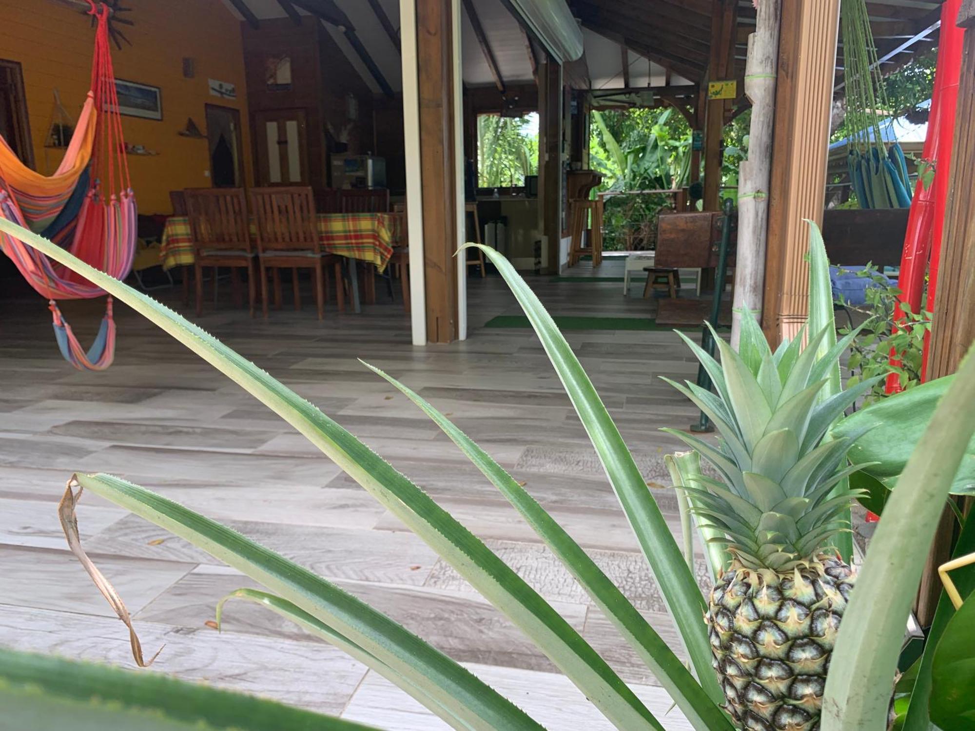 Les Ilets Caraibes Vue Mer Bouillante Exterior foto